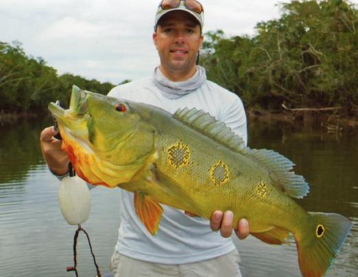 orinoco peacock bass.jpg